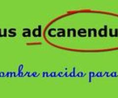 Latín Lengua y cultura - La Plata