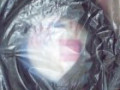 autopartes-accesorios-insignias-manuales-amp-burletes-nuevesitos-bahia-blanca-small-1