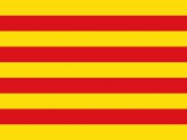 clases-de-catalan-nativo-buenos-aires-big-0