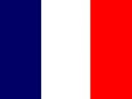 ingles-y-frances-tigre-small-1